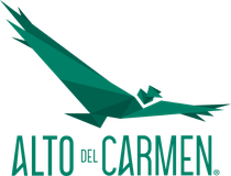 Alto del Carmen