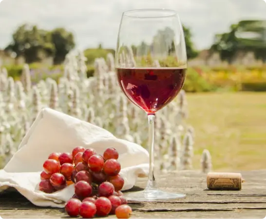Vinos de menos de $10.000