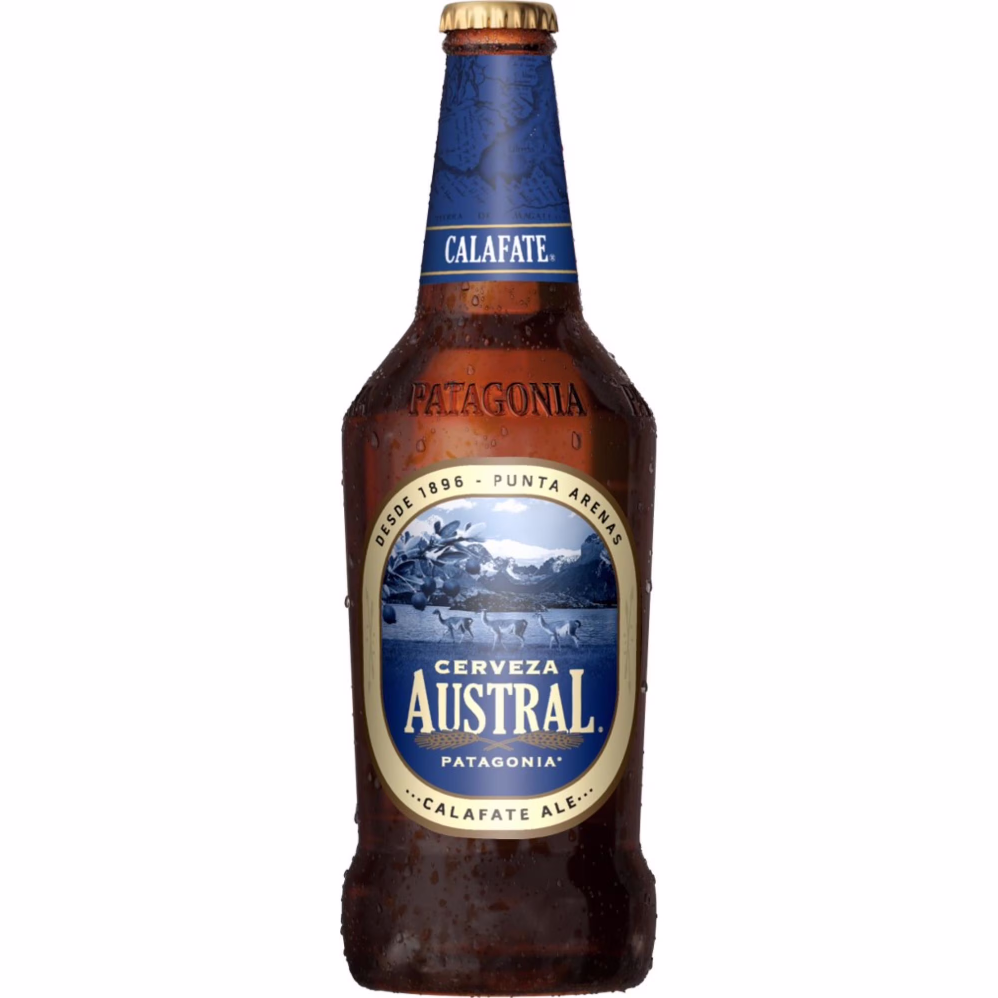 Cerveza Austral Calafate Ale 500cc Botella