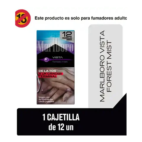 Marlboro Forest Mist 12s